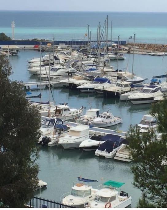 Playamarina II Cabo Roig Lejlighed Campoamor Eksteriør billede
